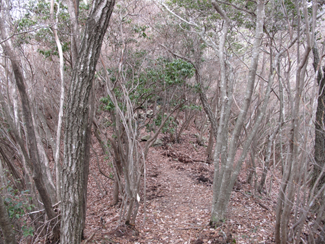 20140102hike (106)